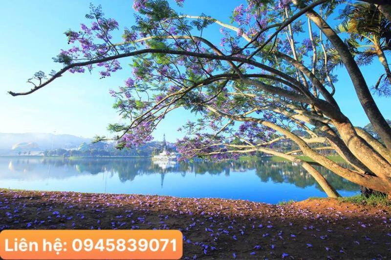 Khach San Da Lat View - Villa דה לאט מראה חיצוני תמונה